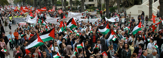palestine-solidarity